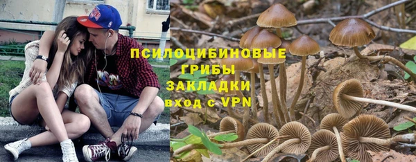 2c-b Беломорск